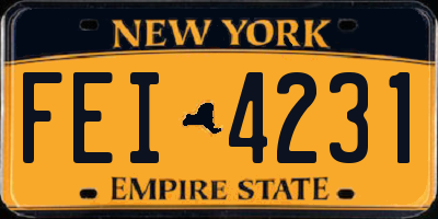 NY license plate FEI4231