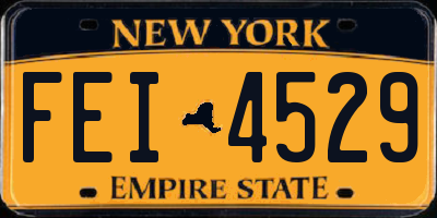 NY license plate FEI4529