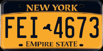 NY license plate FEI4673