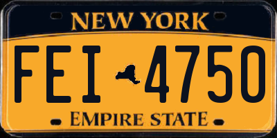 NY license plate FEI4750