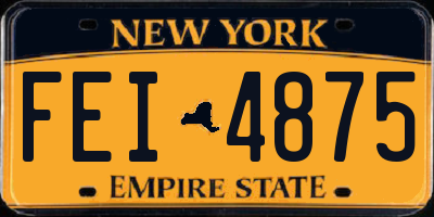 NY license plate FEI4875