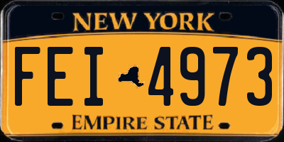 NY license plate FEI4973