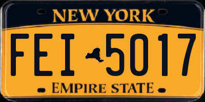NY license plate FEI5017
