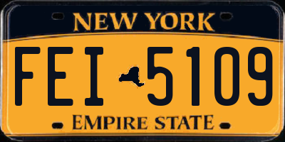 NY license plate FEI5109