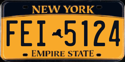 NY license plate FEI5124