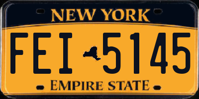 NY license plate FEI5145