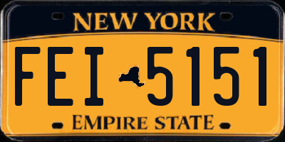 NY license plate FEI5151