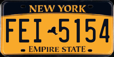 NY license plate FEI5154