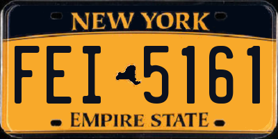 NY license plate FEI5161