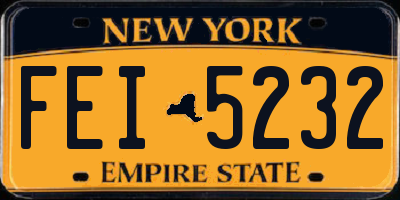 NY license plate FEI5232