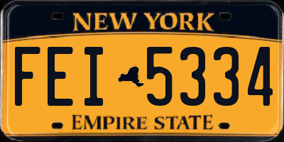 NY license plate FEI5334