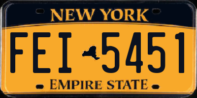 NY license plate FEI5451