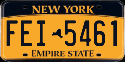 NY license plate FEI5461