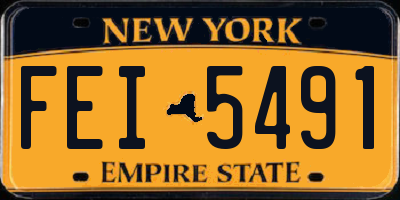 NY license plate FEI5491