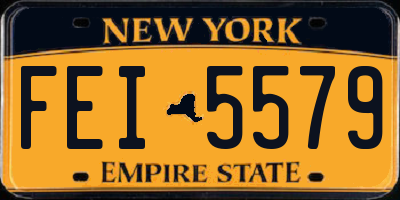 NY license plate FEI5579