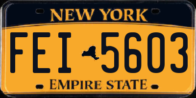 NY license plate FEI5603