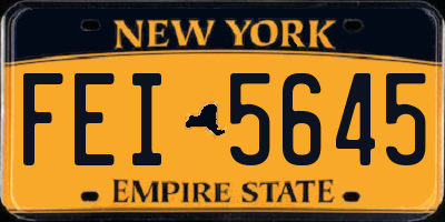 NY license plate FEI5645
