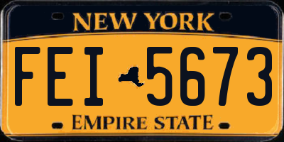 NY license plate FEI5673