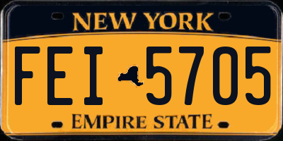 NY license plate FEI5705