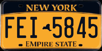 NY license plate FEI5845