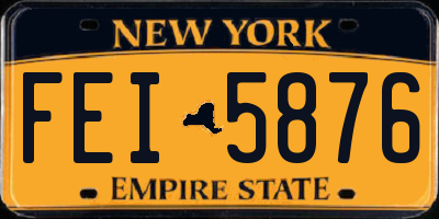 NY license plate FEI5876