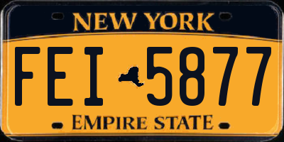NY license plate FEI5877