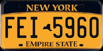 NY license plate FEI5960