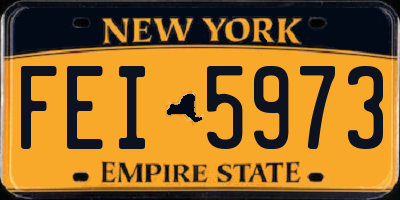 NY license plate FEI5973