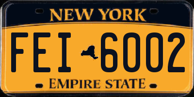 NY license plate FEI6002