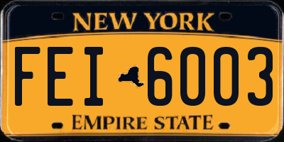 NY license plate FEI6003