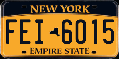 NY license plate FEI6015