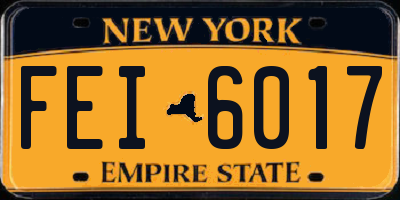NY license plate FEI6017