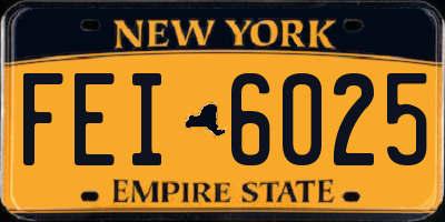 NY license plate FEI6025
