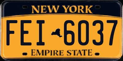 NY license plate FEI6037