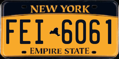 NY license plate FEI6061