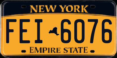 NY license plate FEI6076