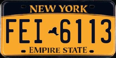 NY license plate FEI6113