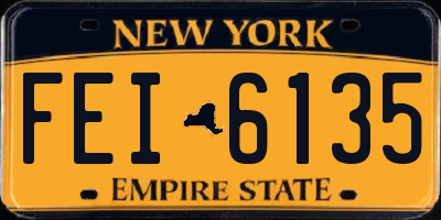 NY license plate FEI6135