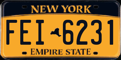 NY license plate FEI6231