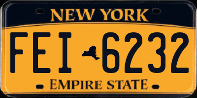 NY license plate FEI6232
