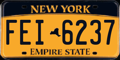NY license plate FEI6237