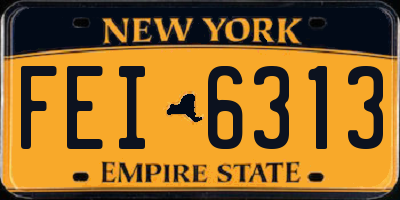 NY license plate FEI6313