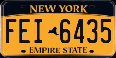 NY license plate FEI6435