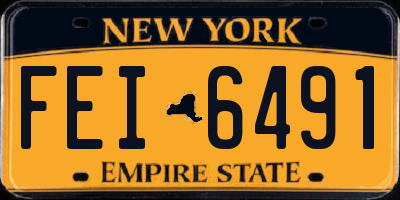 NY license plate FEI6491