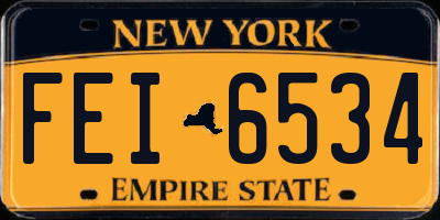 NY license plate FEI6534