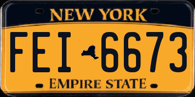 NY license plate FEI6673