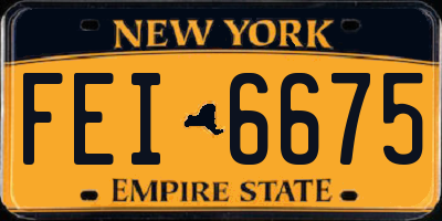 NY license plate FEI6675