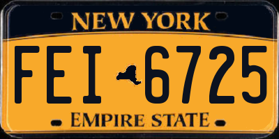 NY license plate FEI6725