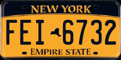 NY license plate FEI6732