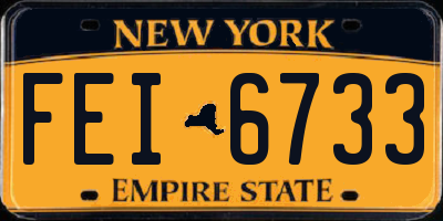 NY license plate FEI6733
